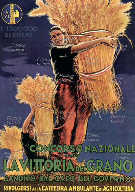 strampelli infolazio rieti lazio marche puglia grano ricerca genetica innovazione agricoltura_BATTAGLIA DEL GRANO