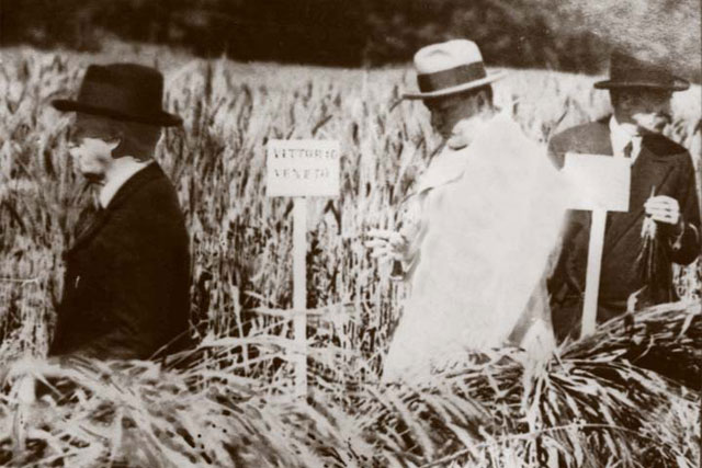 strampelli infolazio rieti lazio marche puglia grano ricerca genetica innovazione agricoltura_Strampelli_re_duce
