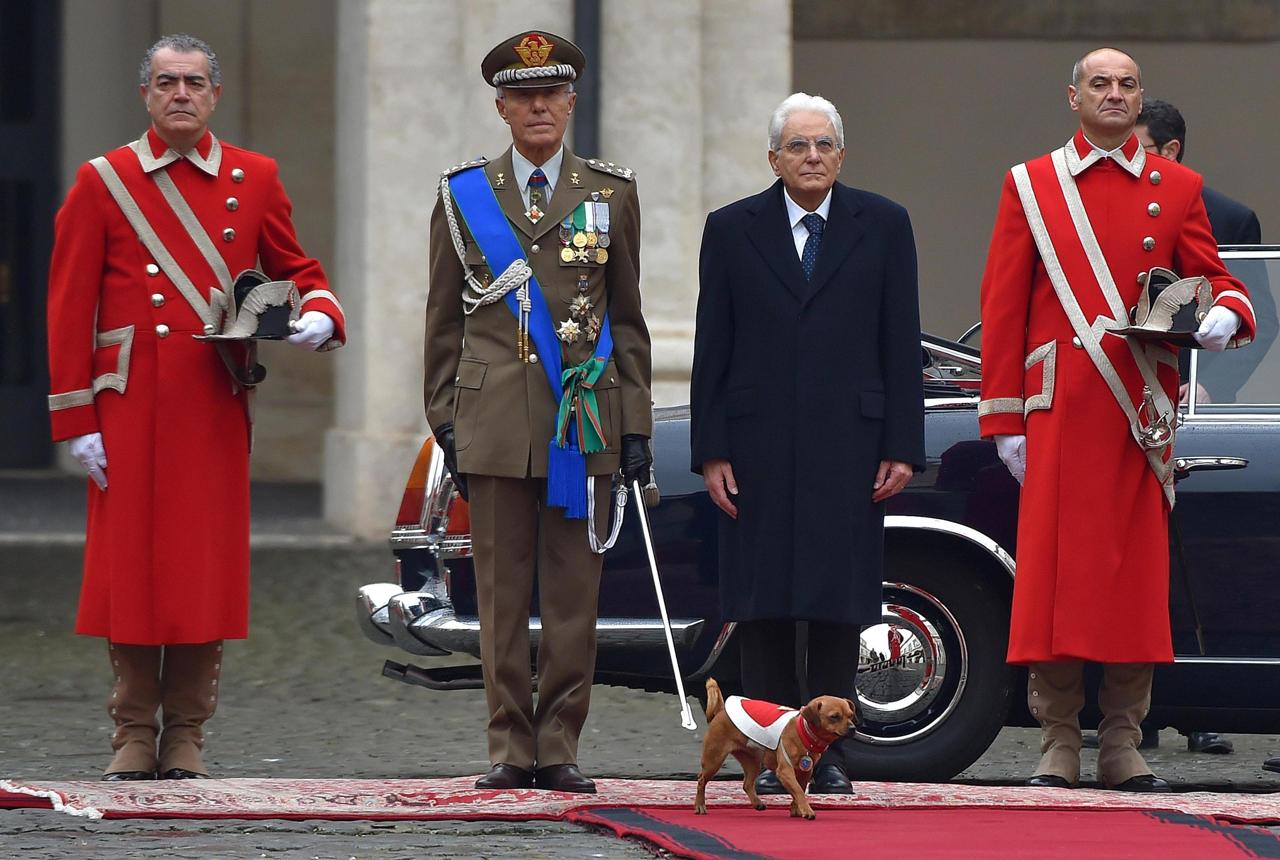 cane briciola carabinieri 2 giugno meticcio adozioni donazione Lazio informazione Infolazio24_ANSA Ettore Ferrari